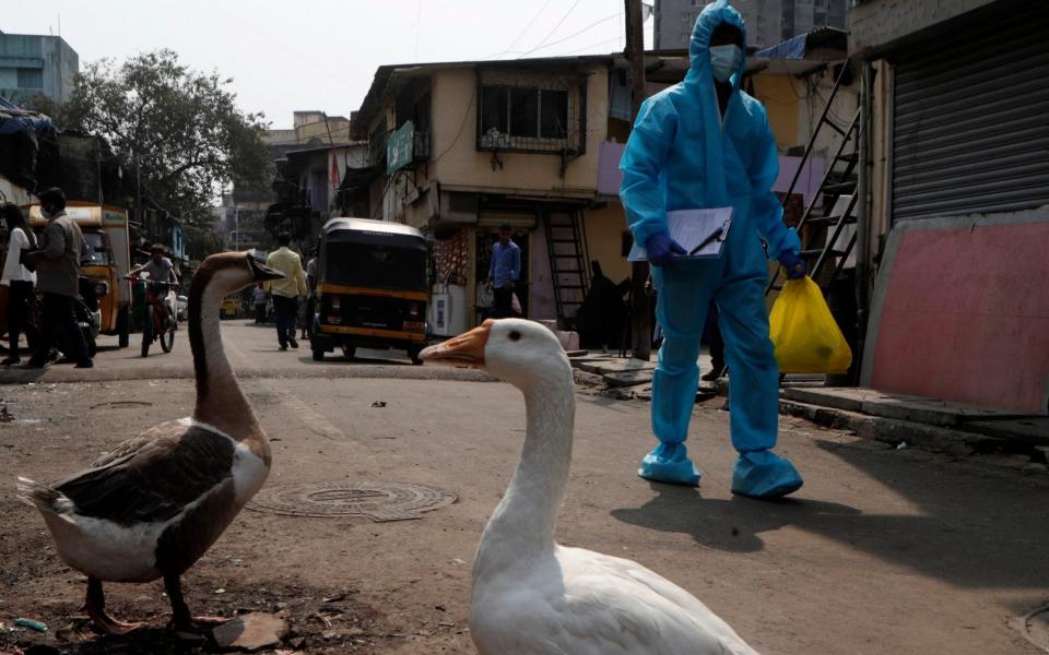 A health worker walks for door-to-door screening of Covid-19 at Dharavi, one of Asia's largest slums, in Mumbai - AP