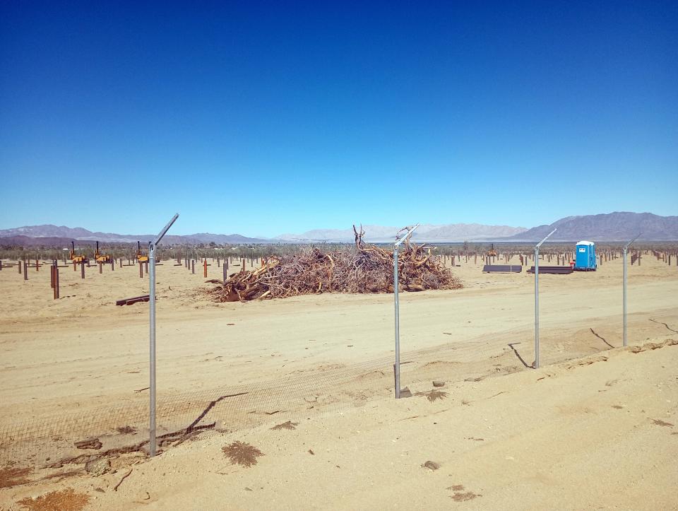 Ironwood trees leveled for new large-scale solar farm in Desert Center, CA