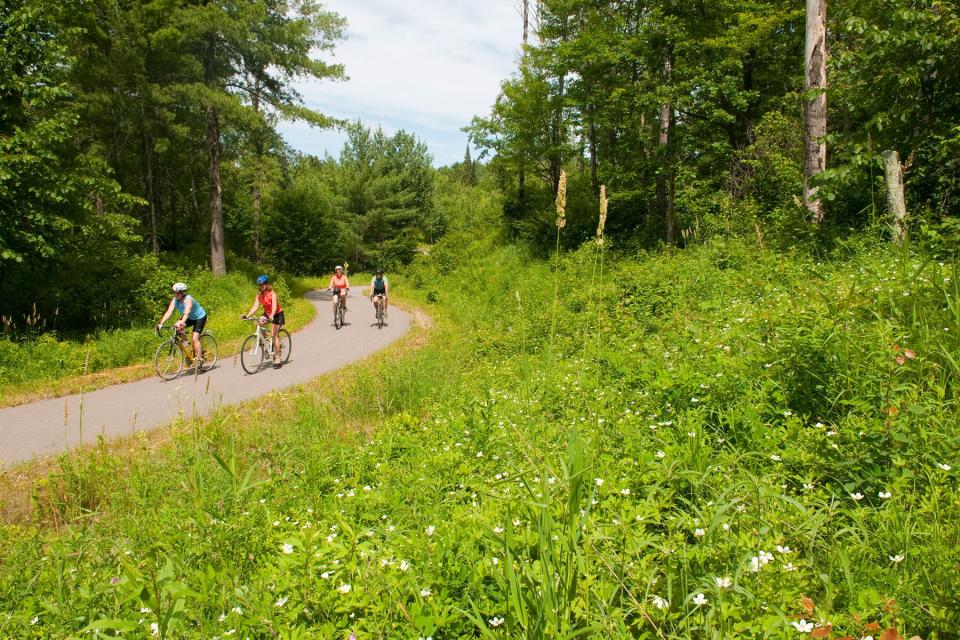 Bikers on the Paul Bunyan Bike Trail between hacksensack and hwy 34