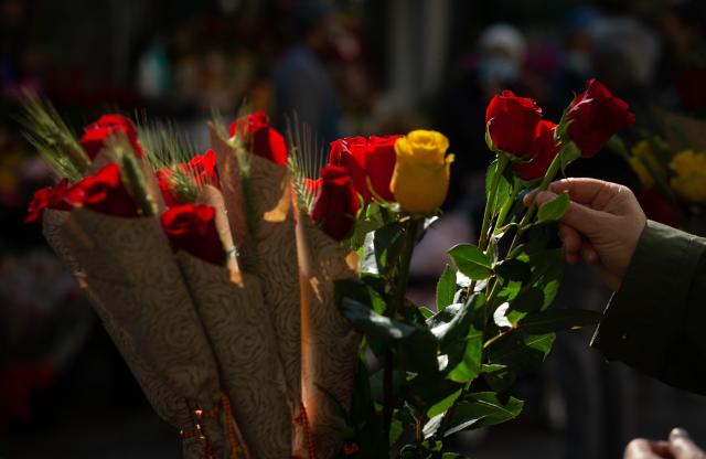 Rosas de 11 países participan en el Concurso Internacional de Barcelona