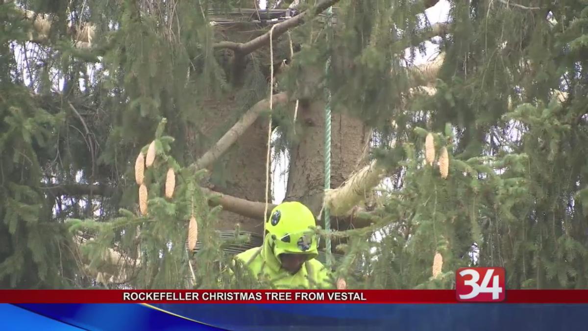 Rockefeller Center Christmas Tree from Vestal