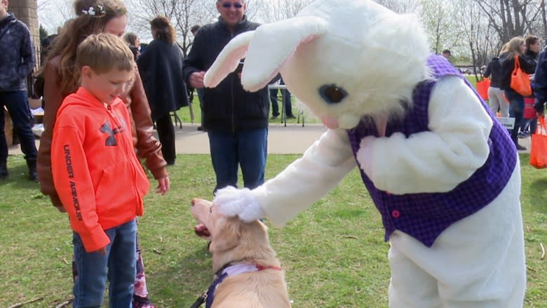 Dogs hunt for easter eggs in Windsor