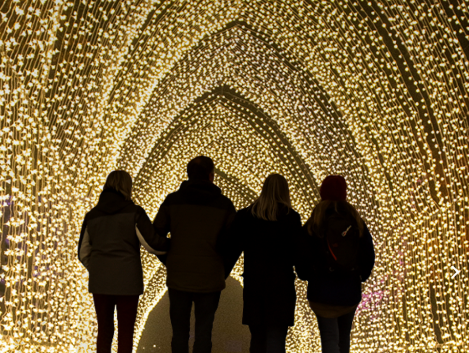 Try an illuminated Christmas trail at Blenheim Palace (Blenheim Palace)