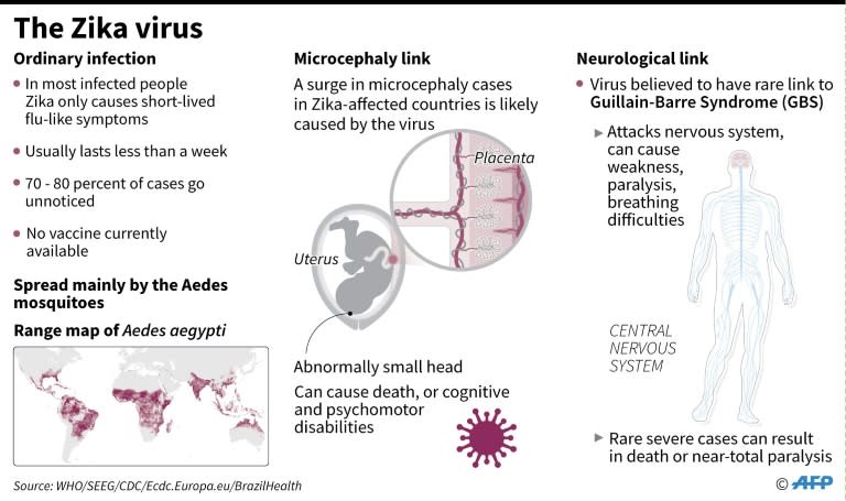 The Zika virus