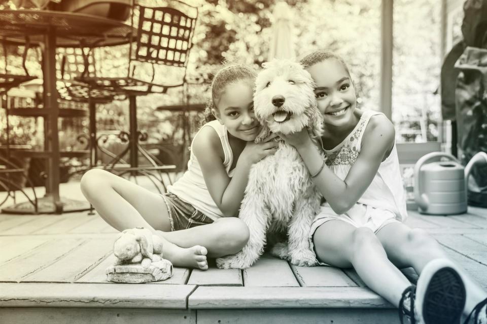 Sisters Hug Labradoodle Puppy on Porch