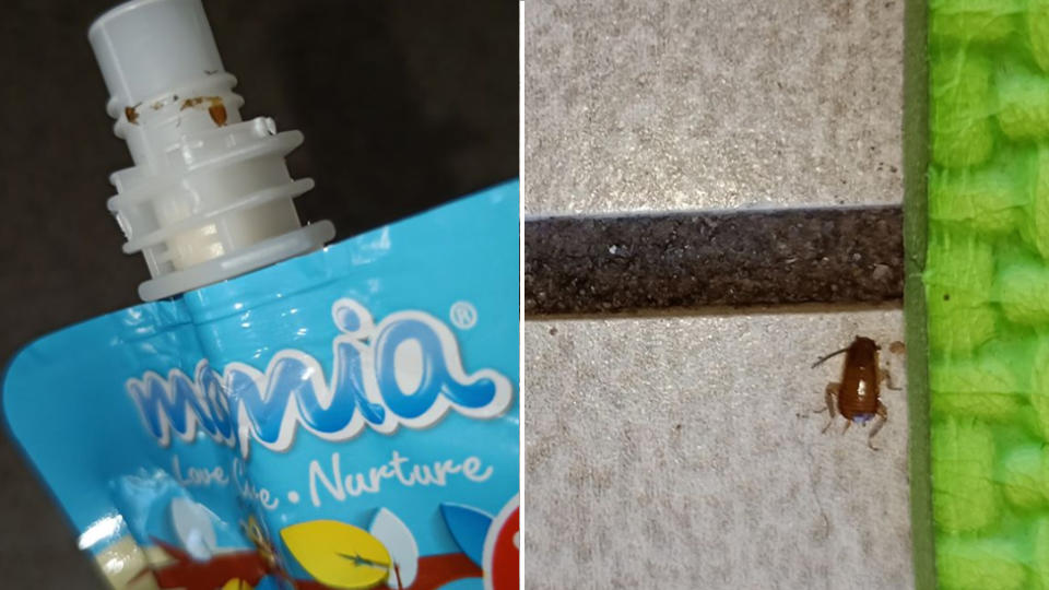 A mum claims she found a dead cockroach on a baby product sold at Aldi.