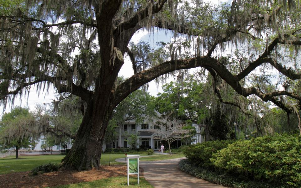 leu gardens, orlando - JEFF GREENBERG