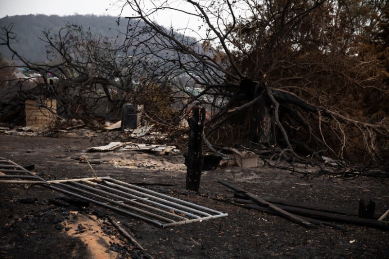 The remains of a structure are seen following a bushfire in the village of Cobargo