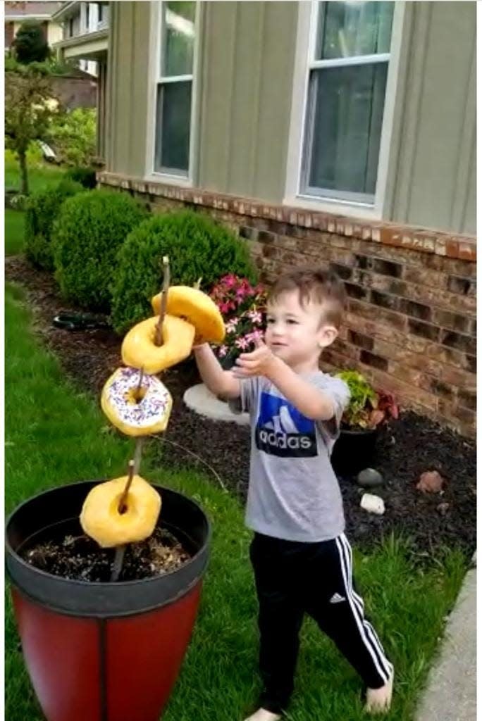 Jackson Kubasa, the great grandson of Fred Keller, is looking at the doughnuts that appeared at the "doughnut tree" he planted.