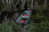 Un barco de un cazador de pitones birmanas en los pantanos de los Everglades durante el 2020 Python Challenge Python Bowl en la Reserva Nacional Big Cypress cerca de Ochopee