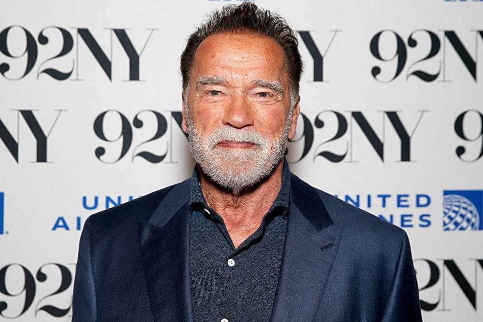 <p>Dominik Bindl/Getty</p> Arnold Schwarzenegger 