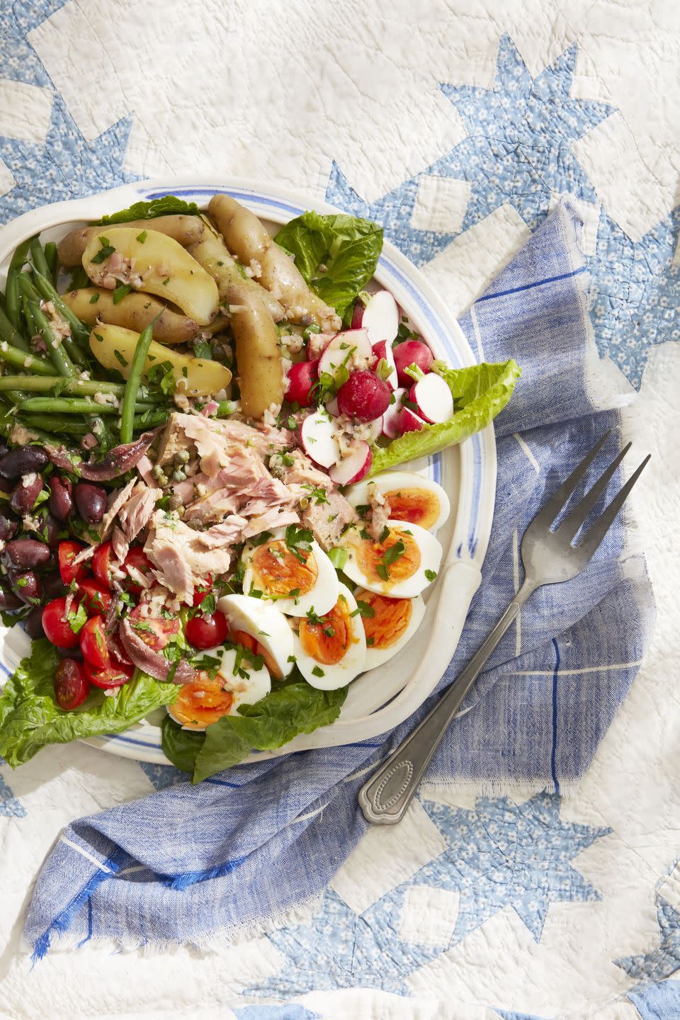 a plate of salade niçoise on a blanket with a fork and a napkin