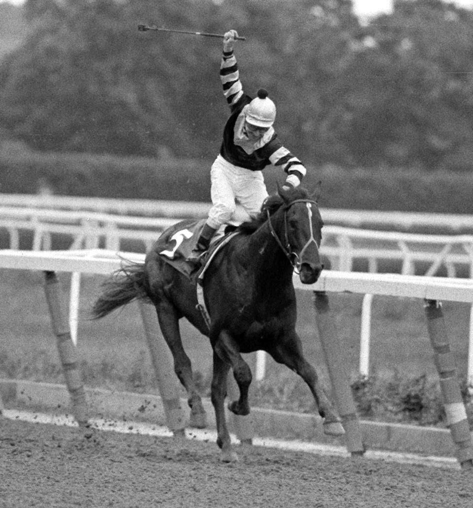 FILE - In this June 13, 1977, file photo, jockey Jean Cruguet, aboard Seattle Slew, wins the Belmont Stakes in Elmont, N.Y. Seattle Slew won the Triple Crown in 1977, but then finished fourth in his next race.  On Sunday, Aug. 2, 2015, American Pharoah will attempt to do what many other Triple Crown champions have done throughout history, win their first race after victories in the Kentucky Derby, Preakness and Belmont Stakes. (AP Photo/File)