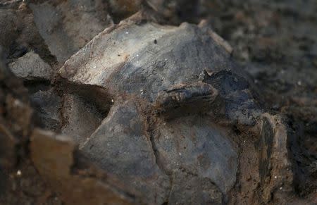 A clay pot is unearthed by archaeologists from the University of Cambridge Archaeological Unit, who are currently uncovering Bronze Age wooden houses, preserved in silt, from a quarry near Peterborough, Britain, January 12, 2016. REUTERS/Peter Nicholls