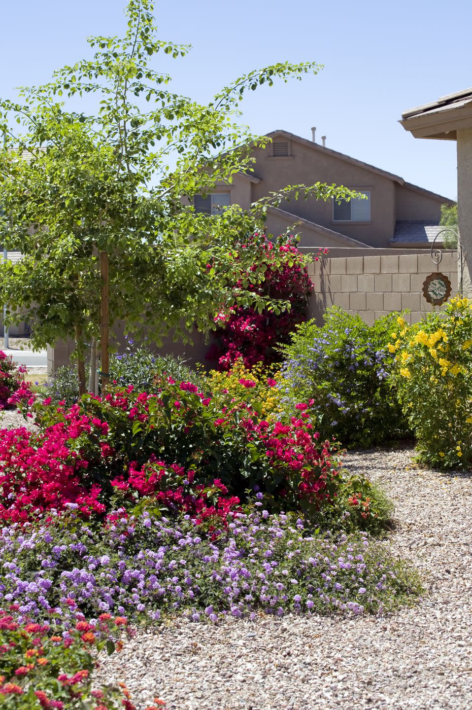 desert landscaping