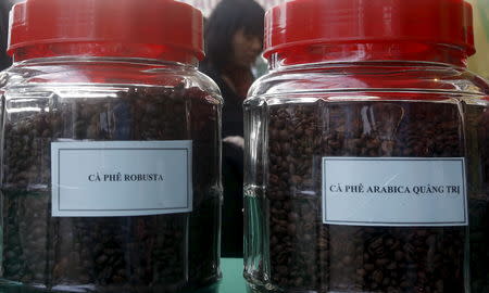 FILE PHOTO - Roasted coffee beans are displayed at an exhibition in Hanoi December 10, 2015. REUTERS/Kham