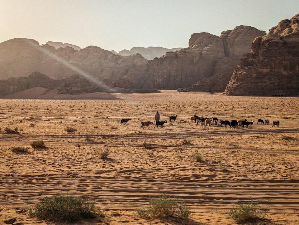 Barry Hoy's LGBTQ+ Syrian Adventure - A shepherd and his flock in the vast Wadi Rum