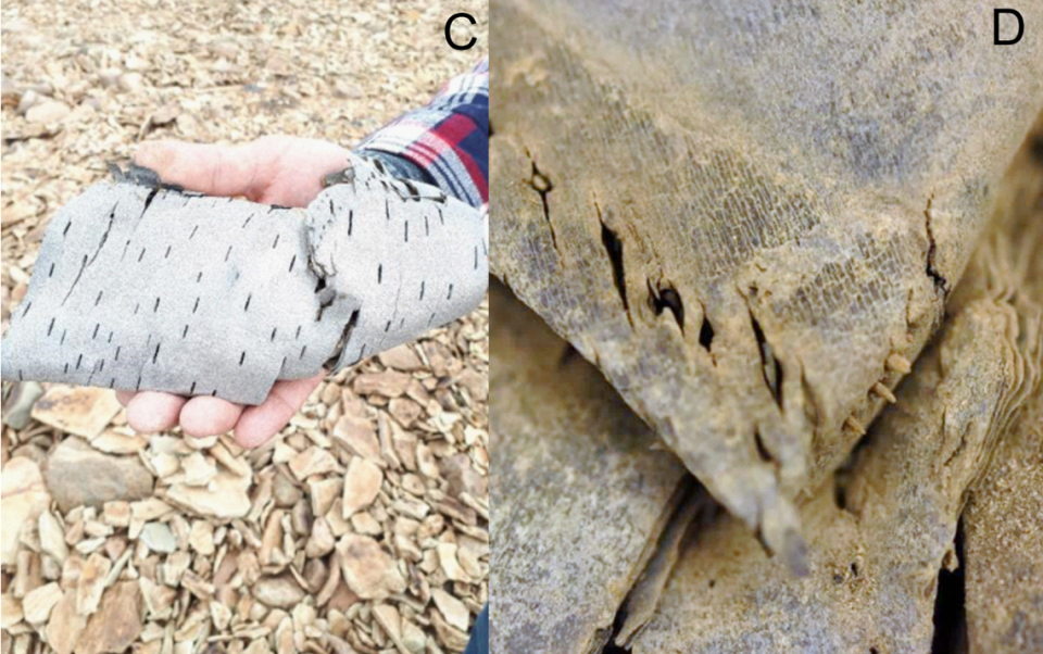 A 2,000-year-old bark container with visible stitching found in the ice.