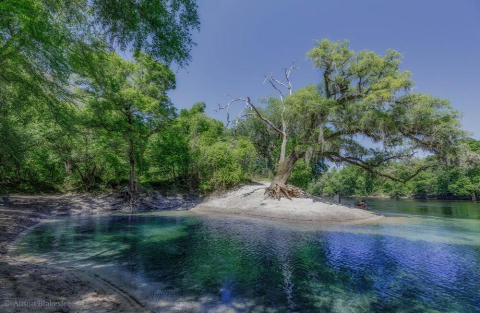 Located in Suwannee County, Telford Spring is a second-magnitude freshwater spring. The spring run flows into the Suwannee River, an Outstanding Florida Water — meaning it was designated by the Environmental Regulation Commission as worthy of special protection because of its natural attributes. The spring is located directly adjacent to Peacock Spring Conservation Area. ACT successfully conserved Telford Spring and its surrounding 94 acres in the final days of 2021.