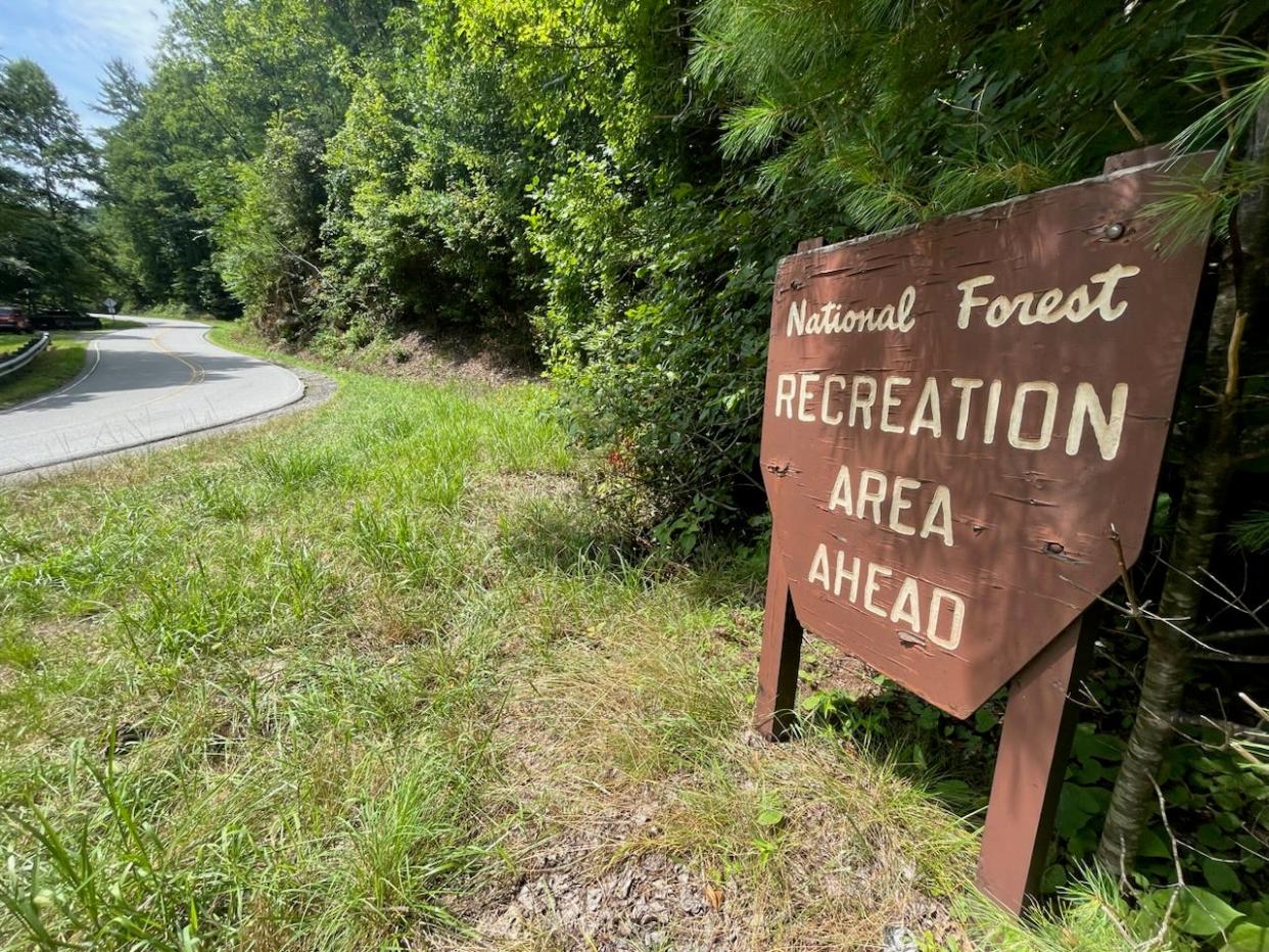 Rocky Bluff Campground in Hot Springs is maintained by the United States Forest Service.