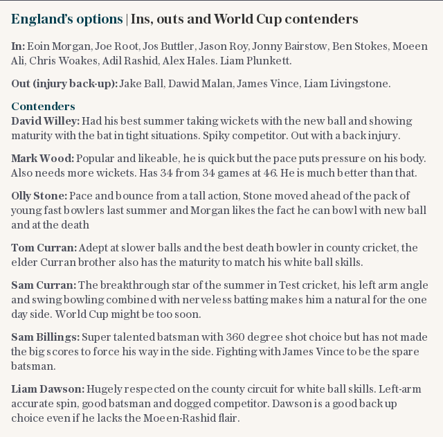 England are seven months away from the start of their World Cup campaign and have never been in a better position to win the tournament or had so many players vying for places.