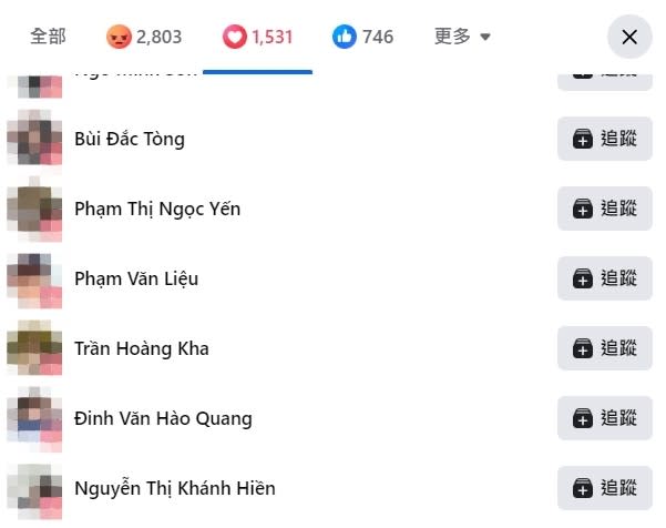 <cite>賀瓏粉專有不少越南名字的粉專點讚。（圖／翻攝自FB／賀瓏 Hello）</cite>