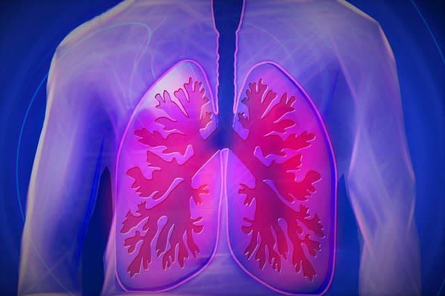 ▲「肺臟」是人體的大器官，由於目前大家聚焦在新冠肺炎，因此讓其他肺部疾病被忽略。〔圖／取自pixabay〕