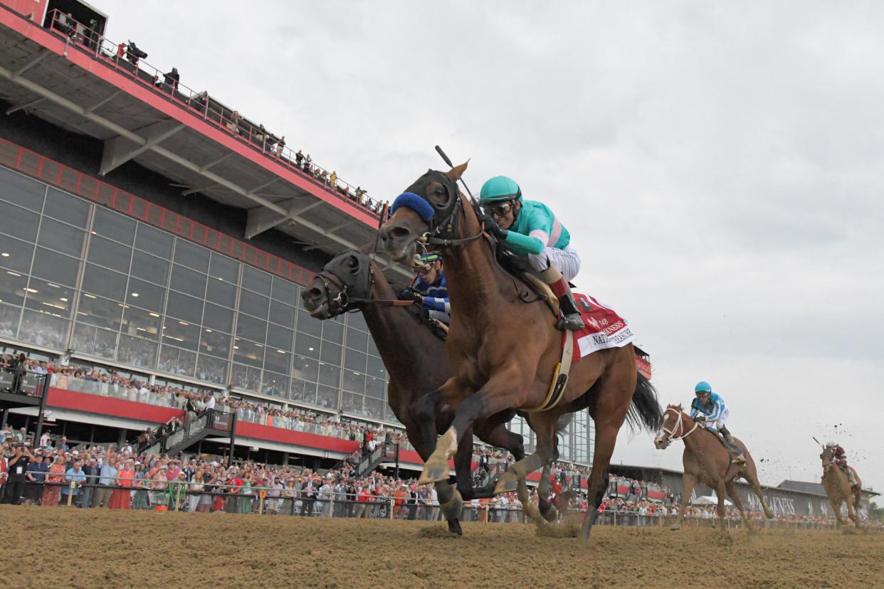 National Treasure with John R. Velazquez up (1) defeats Blazing Sevens with Irad Ortiz, Jr. up (7) to win the 148th running of the Preakness Stakes at Pimlico Race Course in Baltimore on May 20, 2023.