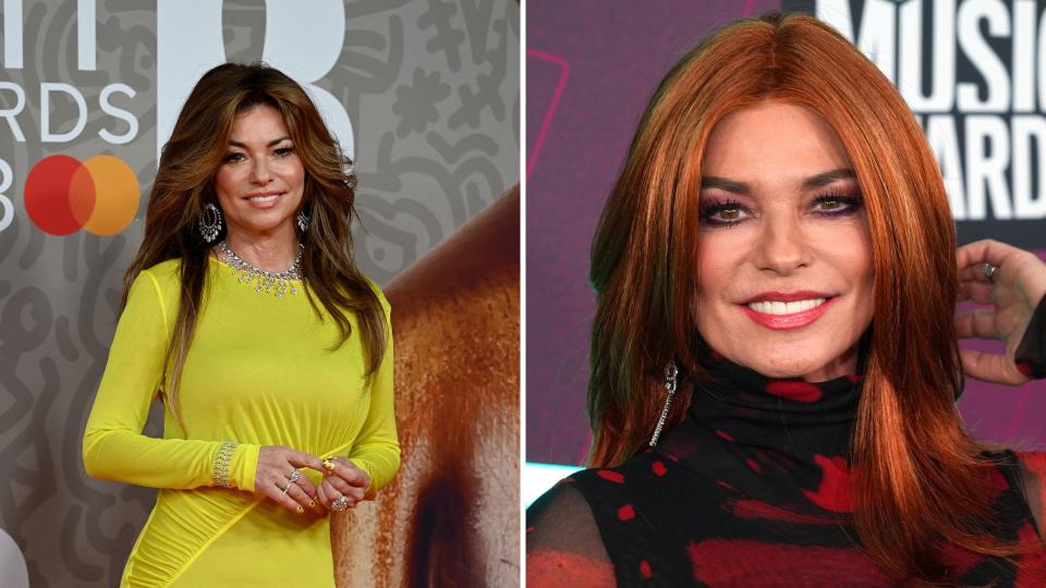 <p> Shania Twain has always stuck to longer hairstyles but she has experimented with colour a lot. We weren't expecting to love this ginger hue on her as much as we do, but it has certainly got us considering the pumpkin spice hair colour for ourselves. </p>