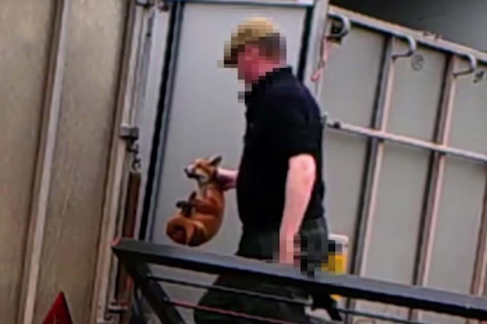 Senior huntsman who allowed hounds to kill fox cubs avoids jail