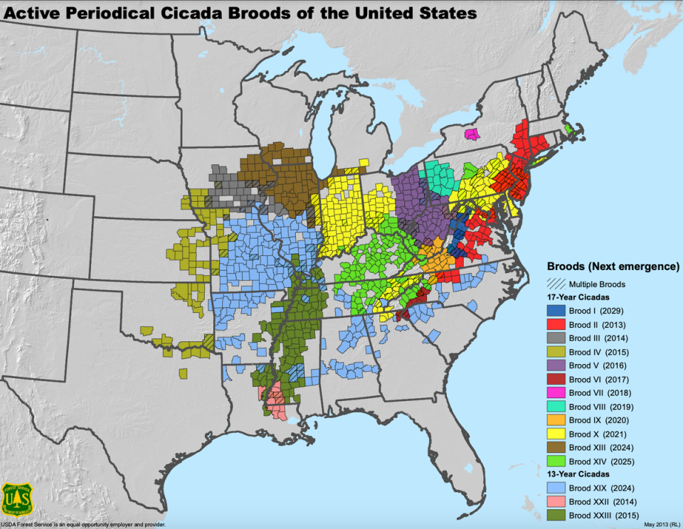 This map illustrates where cicada Brood XIX (light blue) and Brood XIII (brown) will emerge in the coming weeks (A. M. Liebhold, M.J. Bohne and R.L. Lilja/United States Department of Agriculture Forest Service)