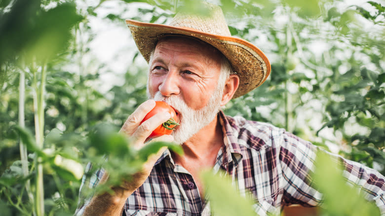 man eating whole tomato