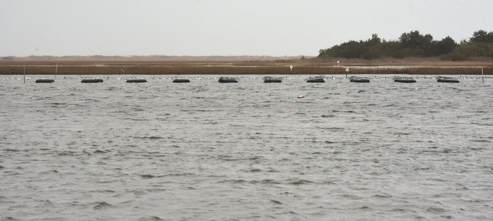 Some coastal property owners and officials see oyster farms as both a safety hazard and aesthetically unattractive.