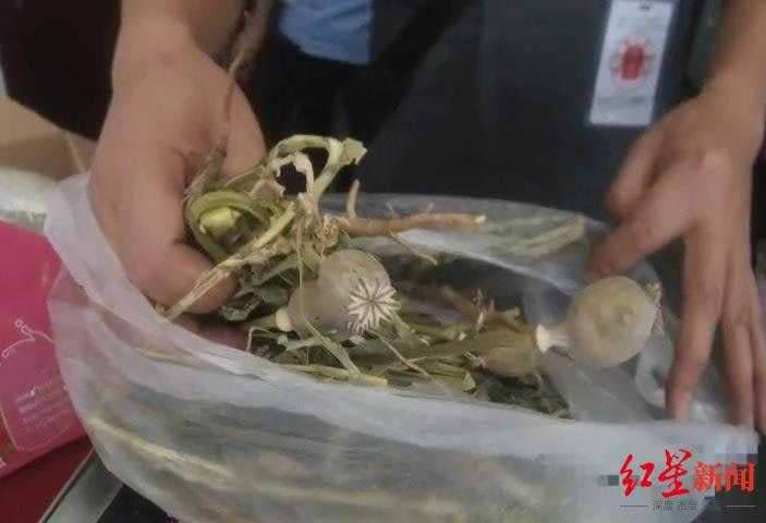 羊肉湯驗出罌粟成分。（圖／翻攝自紅星新聞）