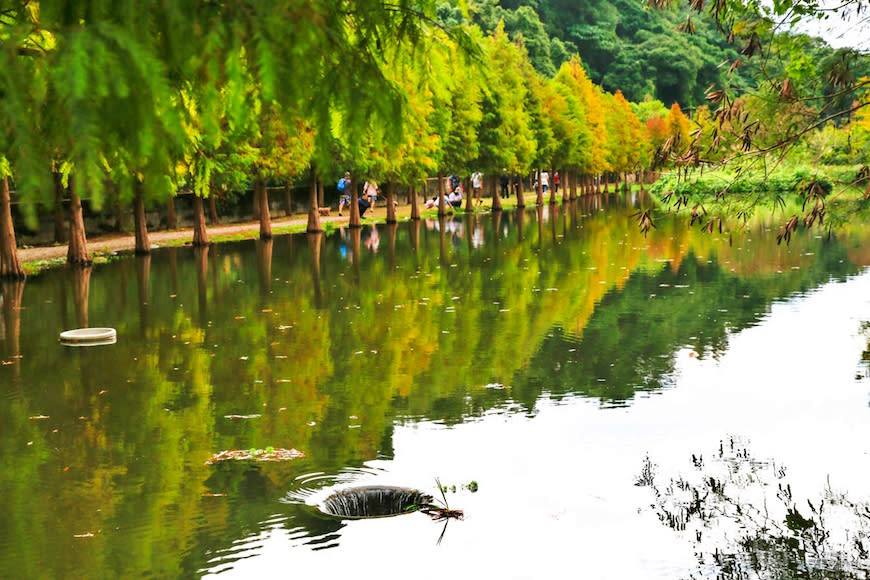 桃園大溪｜月眉人工濕地生態公園