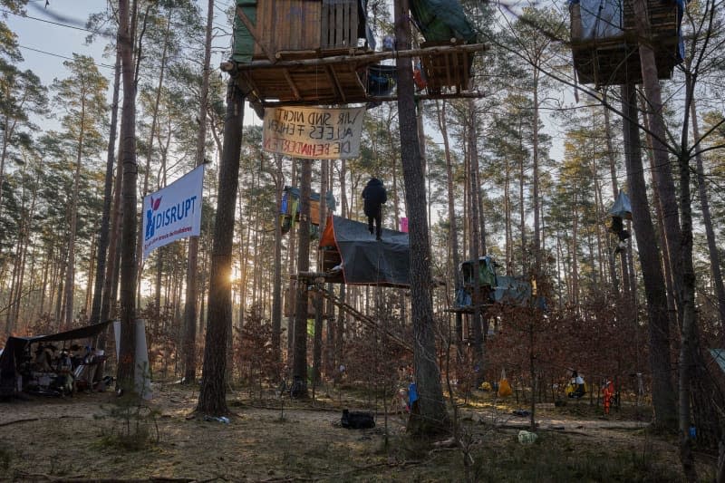 Tree houses hang in the early morning at a camp organized by the "Tesla stoppen" initiative in a pine forest near the Tesla Gigafactory Berlin-Brandenburg. The aim of the activists is to prevent the forest from being cleared as part of a planned expansion of the Tesla site with a freight depot. Joerg Carstensen/dpa