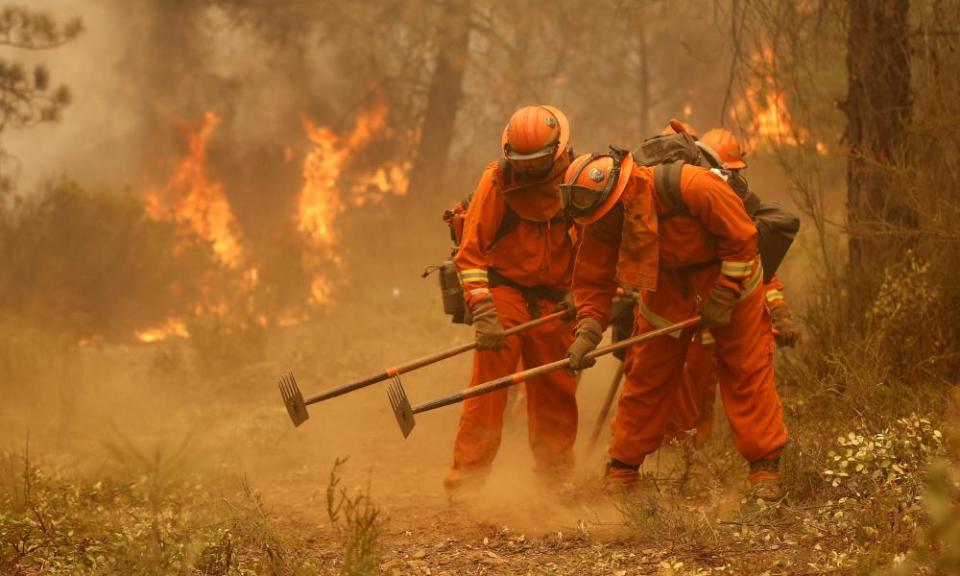 <span>Photograph: Rich Pedroncelli/AP</span>