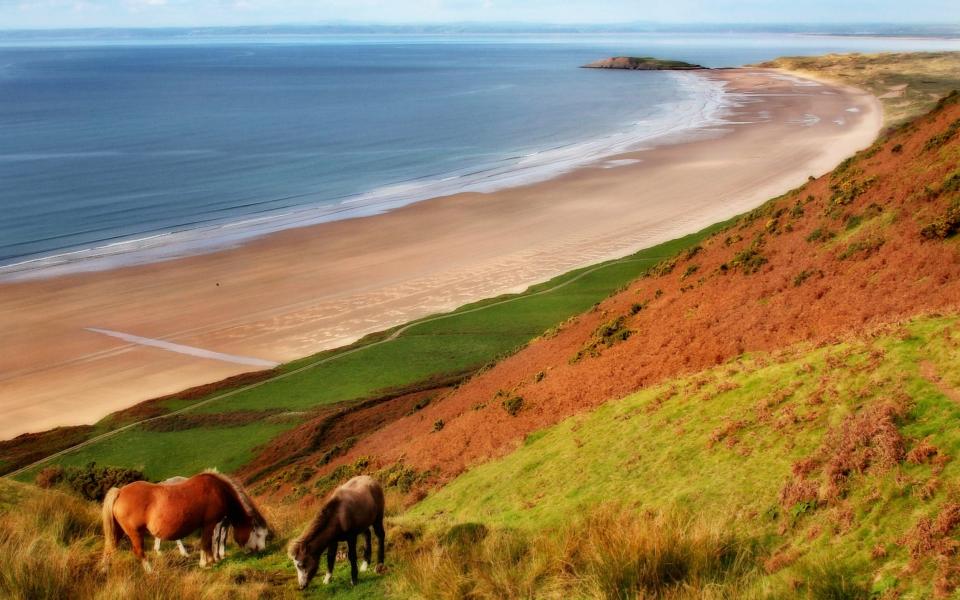 Rhossili beach - Anthony Thomas/Moment RF