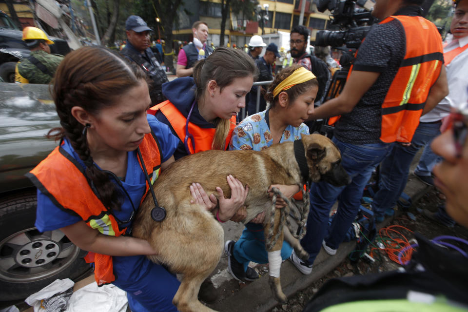 Mujeres heroínas: arriesgan su vida por el prójimo entre las ruinas del sismo