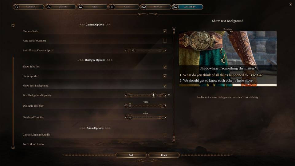Baldur's Gate accessibility settings