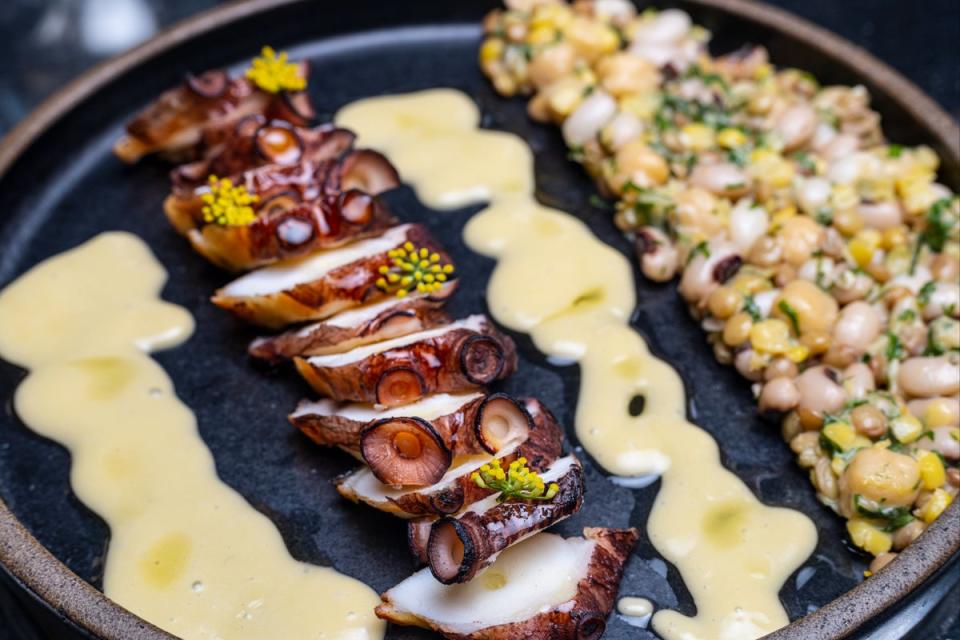 Milky tender: the grilled octopus with blistered, blackened suckers (Daniel Hambury/Stella Pictures)