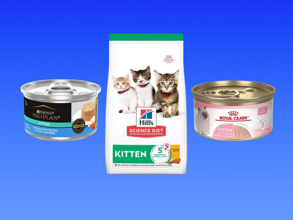 A collage of three different kitten pet food products on a blue gradient background.