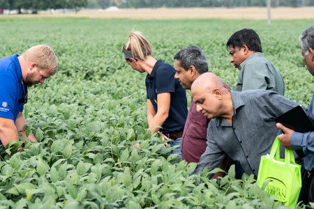 Members of Illinois Soybean Growers Association and a trade group of grain buyers from Sri Lanka inspect soybeans of Pioneer-DuPont Seed facility in Addieville, Illinois U.S., September 19, 2018. Picture taken September 19, 2018. REUTERS/Lawrence Bryant