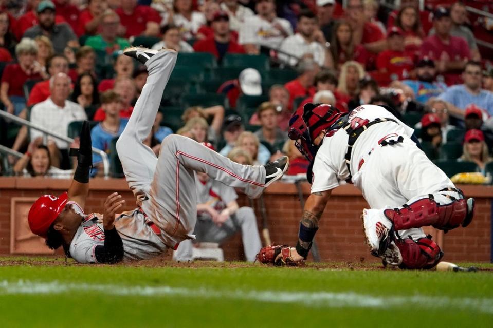 CARDENALES-ROJOS (AP)