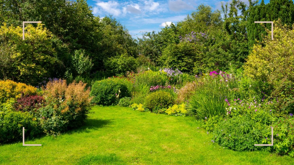  A garden with a lawn and well established borders with pants and trees to support an expert guide on how to level a lawn. 