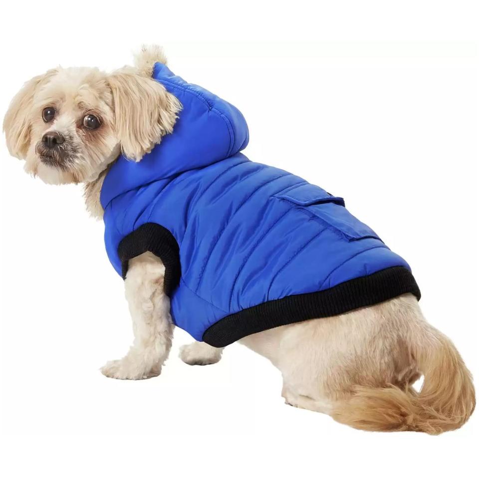 5) Frisco Anchorage Insulated Dog Parka