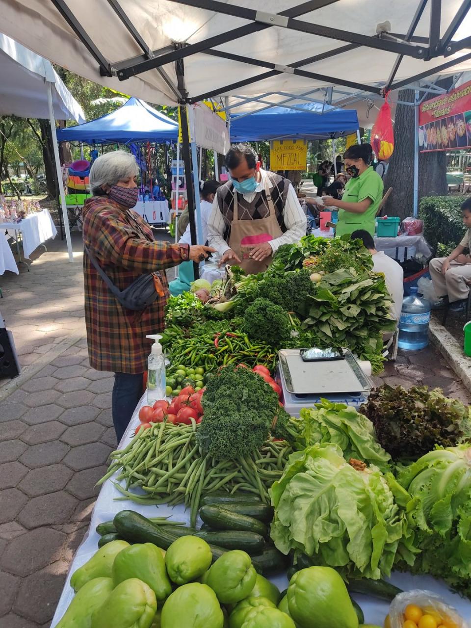 mercado de productores