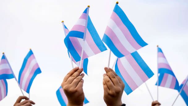 PHOTO: FILE - Transgender flags hold by people on a demonstration (Vladimir Vladimirov/Getty Images/iStockphoto, FILE)