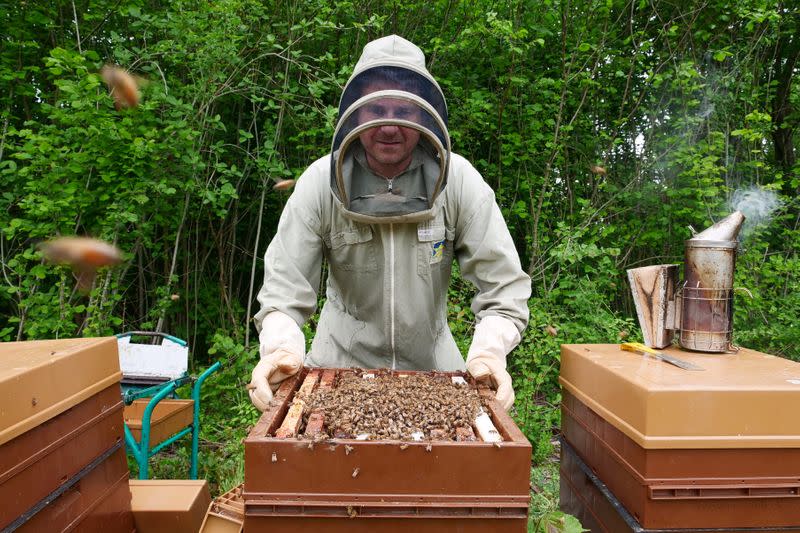 Warm spring brings bumper harvest to French beekeepers outside Paris