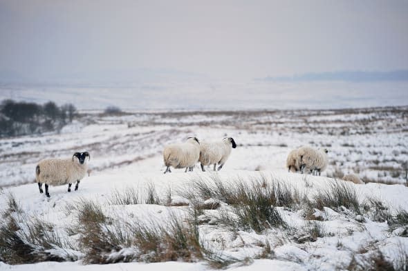 Temperatures Continue To Drop Across Scotland